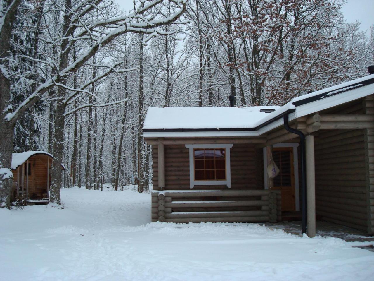 Nelijärve Holiday Centre Aegviidu Buitenkant foto